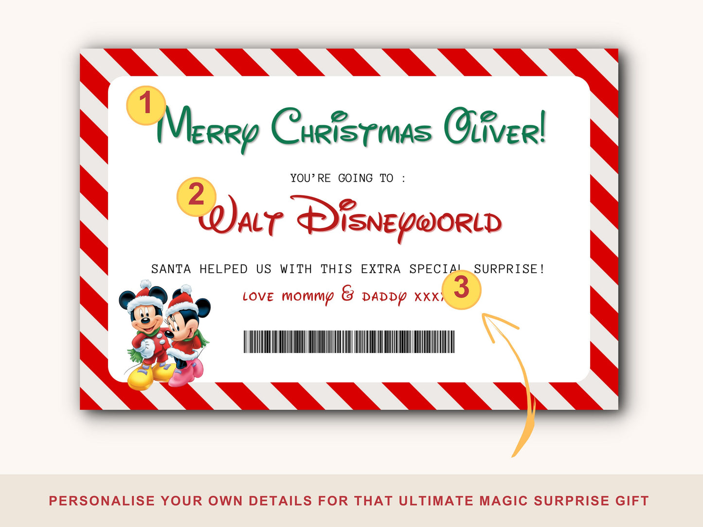 Personalised Disneyland Ticket | Custom Disney Gift Voucher | Walt Disney World Card | Magical Xmas Surprise